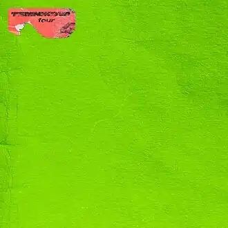 Обложка альбома Елены Темниковой «TEMNIKOVA 4» (2019)