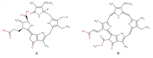 A — Люциферин динофлагеллят (R = H) и Euphausiidae (R = OH)B — хлорофилл C1