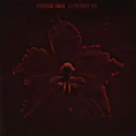 Обложка альбома Machine Head «The Burning Red» (1999)