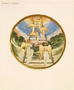 No. iii Лестница ИаковаPolemonium caeruleum