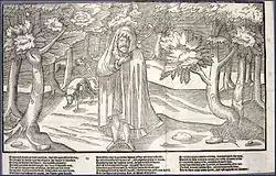 Рори О'Мор из книги Джона Деррика «Образ Ирландии» с открытием Вудкарна