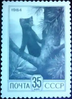 При УФ-излучении с длиной волны 365 нм