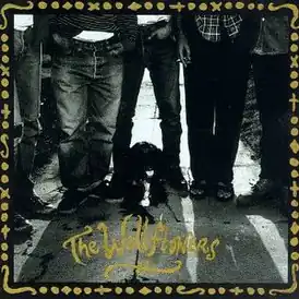 Обложка альбома The Wallflowers «The Wallflowers» (1992)