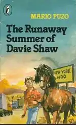 Обложка книги The Runaway Summer of Davie Shaw