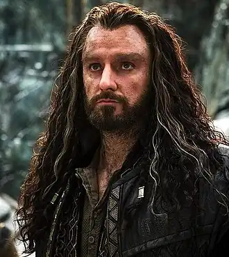 Ричард Армитидж в роли Торина в фильме «Хоббит: Битва пяти воинств» (2014)