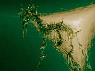 Рисунок Родриг Пелло