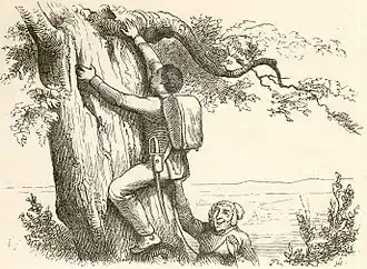 Иллюстрация Вильхельма Педерсена (1874—1930),первого иллюстратора сказок Андерсена