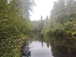 Река на территории горного парка «Рускеала» (2024)