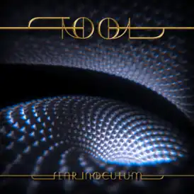 Обложка альбома Tool «Fear Inoculum» (2019)