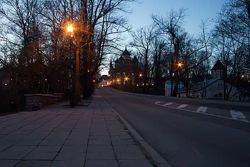 Вид улицы в сторону Вышгорода. В перспективе — Александро-Невский собор