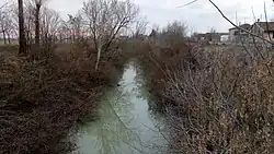 Низовье Онджины около Видаленцо