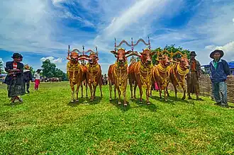 Сапи-сонок16 января 2022