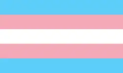 Трансгендерный флаг, использующийся для репрезентации небинарных идентичностей