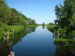 Требель около Нерингена