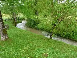 Река Тренку