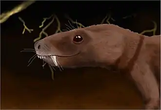 Реконструкция Trirachodon berryi в норе