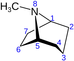 Изображение химической структуры