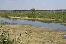 русло Трубежа в районе села Борщёв