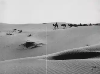 Верблюды в пустыне в фильме (1929)