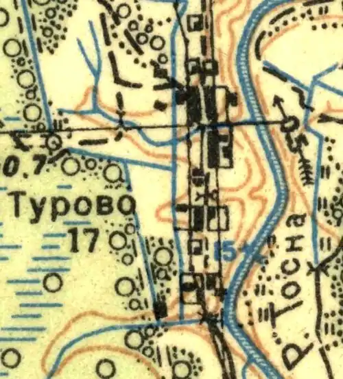 План деревни Турово. 1939 год