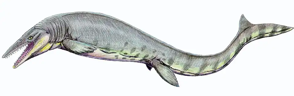 Tylosaurus