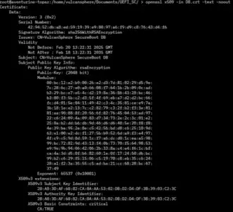 Скриншот программы OpenSSL