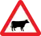 Cattle