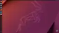 Ubuntu 22.10