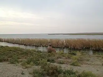 Озеро Улугшуркуль со стороны Узбекистана (северный берег). На горизонте видны барханы Заунгузских Каракумов