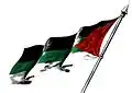 Флаг панарабизма.