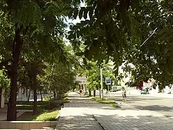 Улица Университетская, 2014 г.