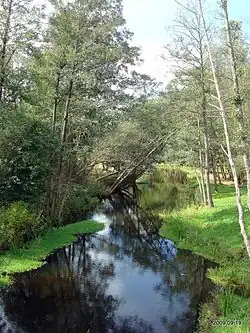 Мяра около деревни Залавас