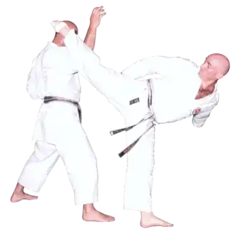 Ура маваси гери