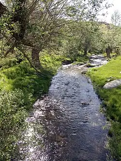 Устук (верховья Бигляра) в кишлаке Устук, в мае