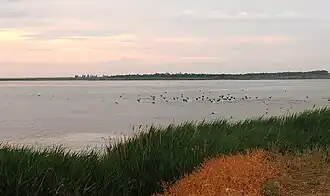 Лиман. Вид на север