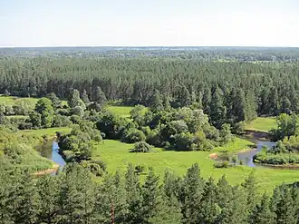 Вид на Мустйыги со смотровой башни Теллингумяэ