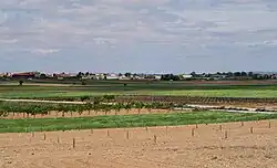 Вальдеганга