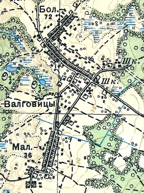 План деревни Большие Валговицы. 1938 год