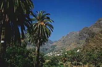 Валье-Гран-Рей