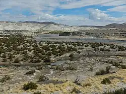 Вид на Лауку в июле 2013 года