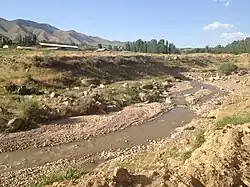 Паркентсай в июне, ниже населённого пункта Киргиз. На горизонте — хребет Сюрената