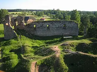 Замок Нейгаузен (городище Вастселийна)