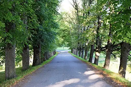 Центральная аллея замкового парка