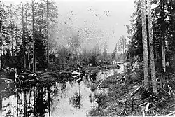 Vegarusjoki, 1930-е гг.