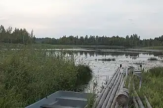 Озеро Велье. У деревни Заноги