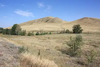 Гора Верблюжка