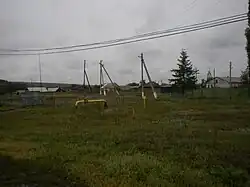 Село Вертуновка. Пензенская область. 2012