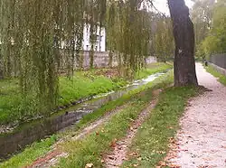 Шед в Веспреме