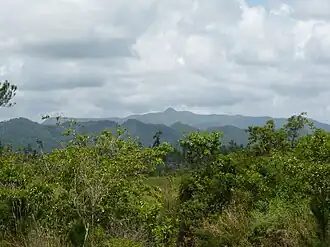 Туман в горах Майя