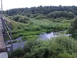 Вид с железнодорожного моста на станции Талька на речку Талька.